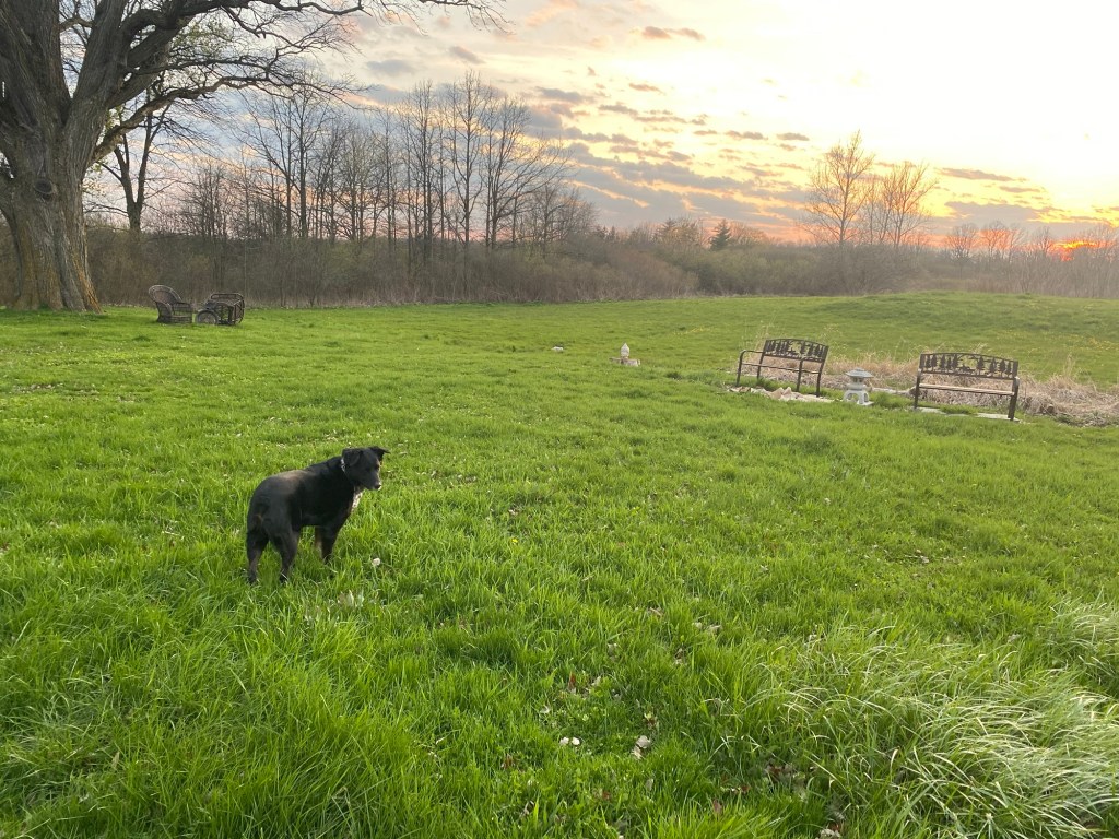 The Long-Awaited Breakthrough